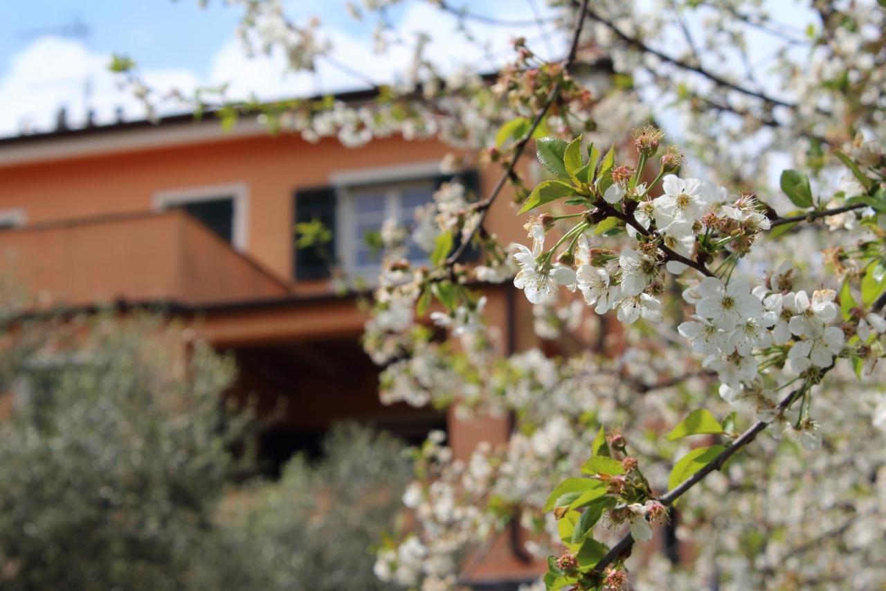 Villa Arancia Quiet, Central, Parking And Air Conditioning Levanto Exterior foto